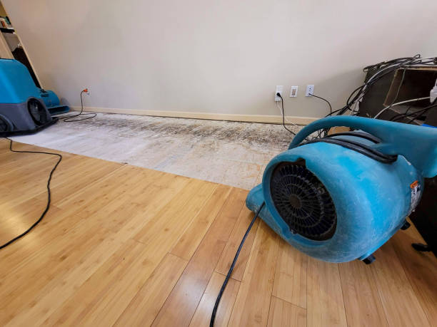Reliable Crawl Space Water Removal contractor in Caldwell, TX by Hirex Water Damage