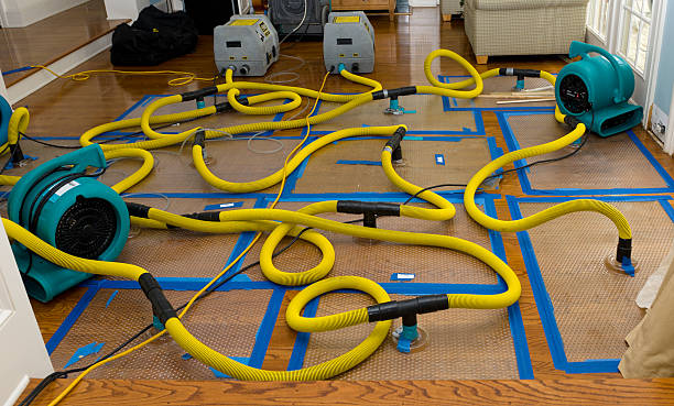Professional Crawl Space Water Removal technician working in Caldwell, TX